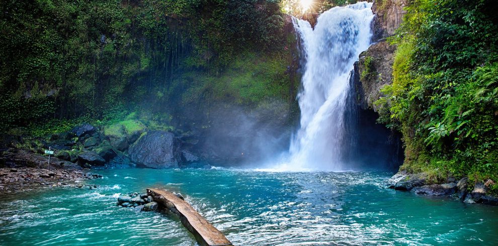 8bdef451bbcf0d673091a0942635c937