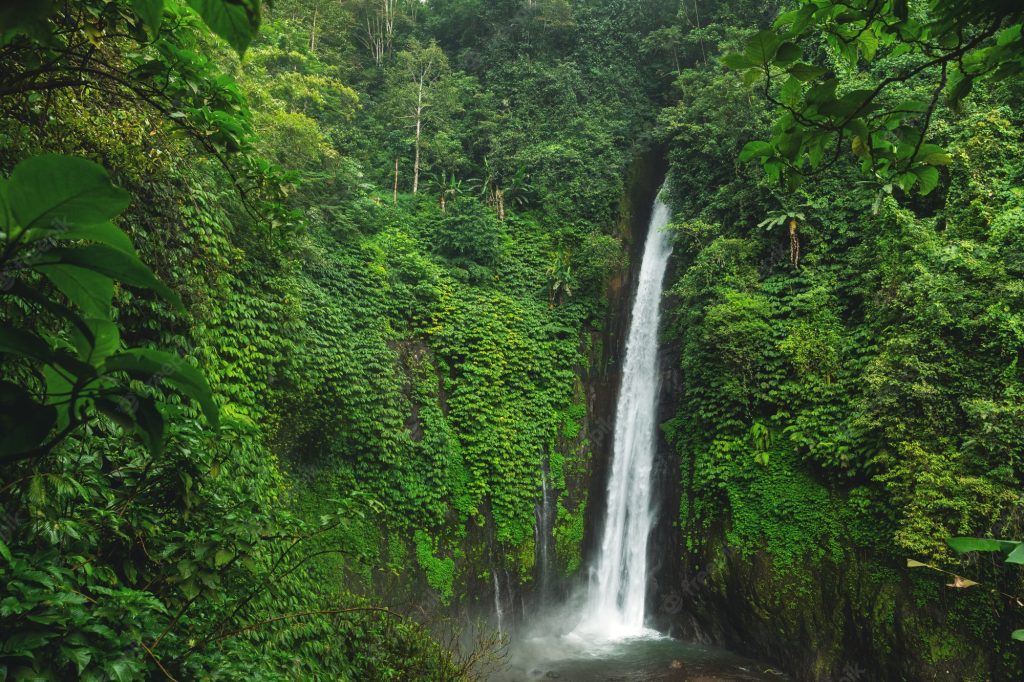 air terjun munduk waterfall bali island indonesia 144962 10018
