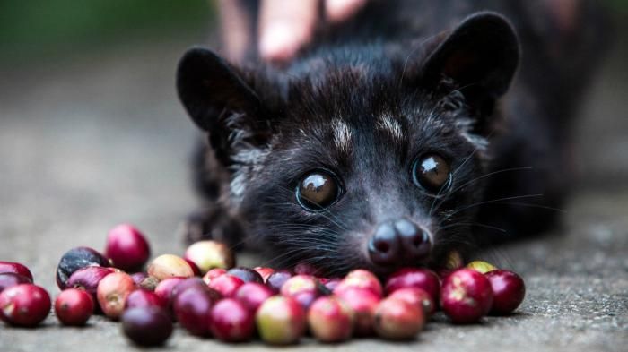 bcf4930bcfb9c064633111f818c9436b