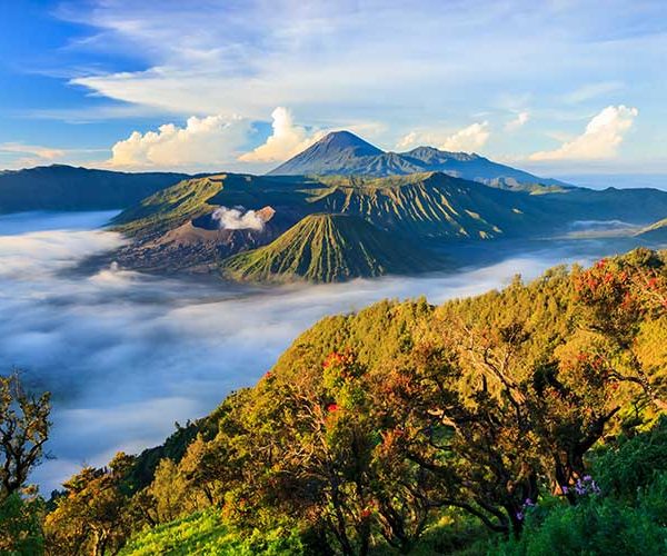 kintamani volcano bali