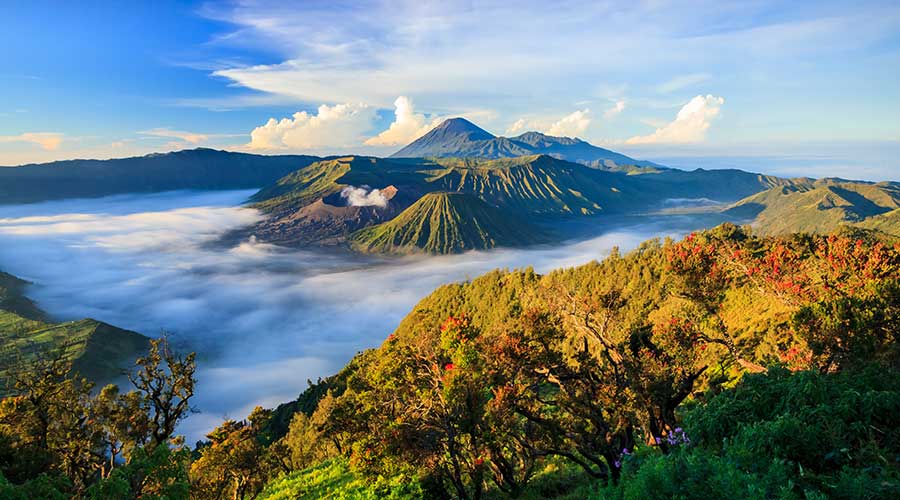 kintamani volcano bali