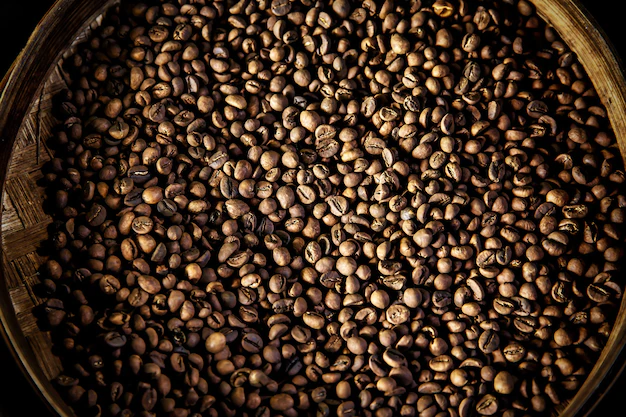 luwak coffee beans round container top view legendary coffee from bali indonesia 367038 733